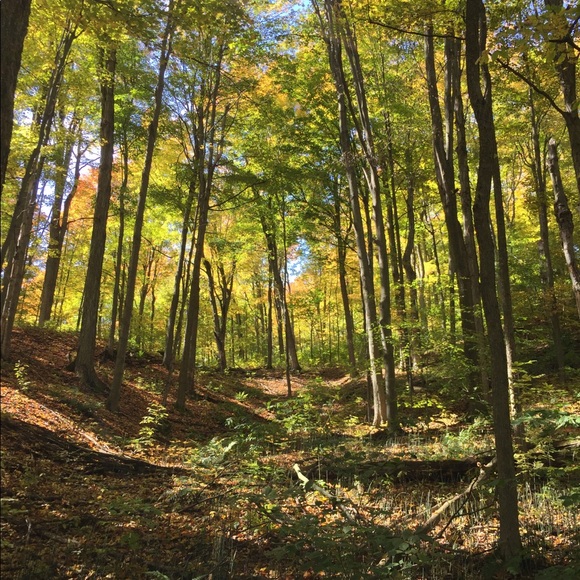 Meet your Posher, Sel - Picture 1 of 1